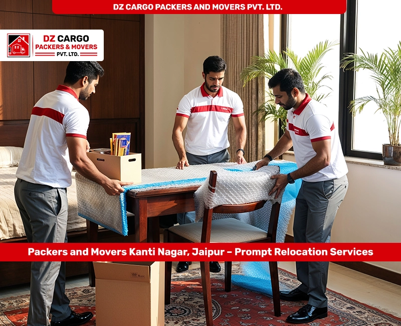 Packing Services by DZ Cargo Packers and Movers PVT. LTD. in Kanti Nagar, Jaipur