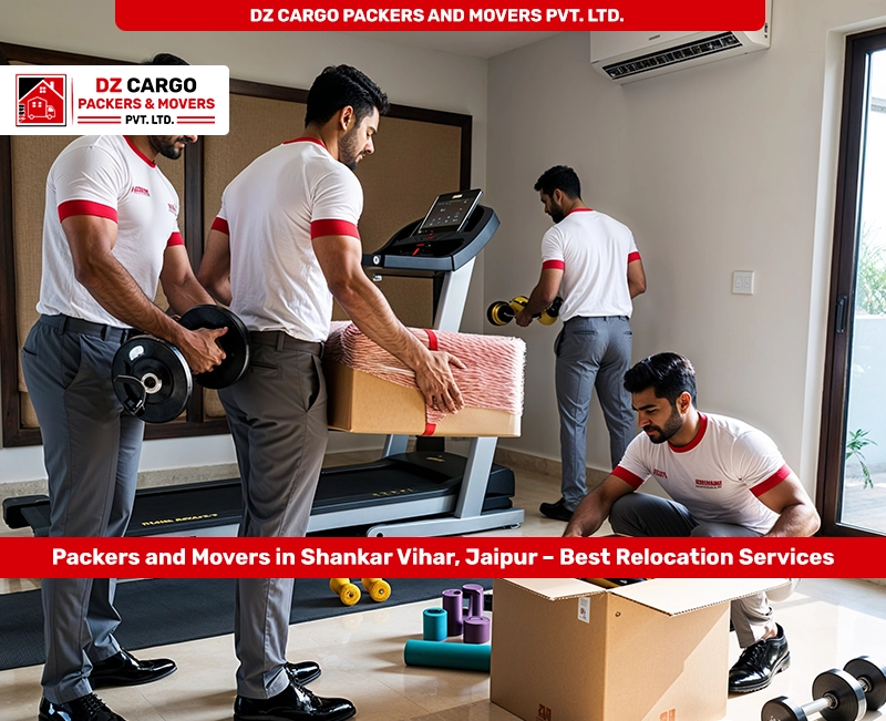 Packing Services by DZ Cargo Packers and Movers PVT. LTD. in Shankar Vihar, Jaipur